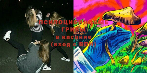 СК Медвежьегорск