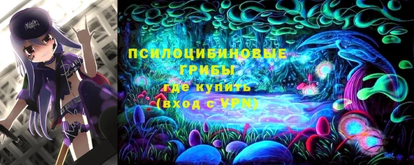 спайс Горно-Алтайск