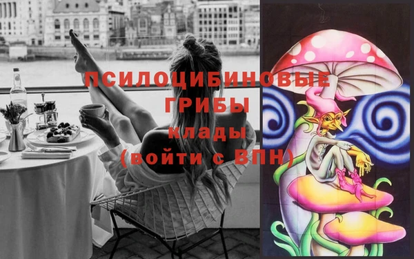 СК Медвежьегорск