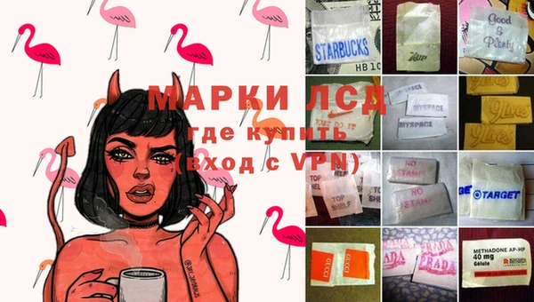 СК Медвежьегорск