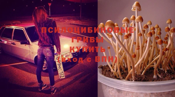 прущая мука Медногорск