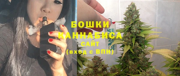 хмурый Горняк
