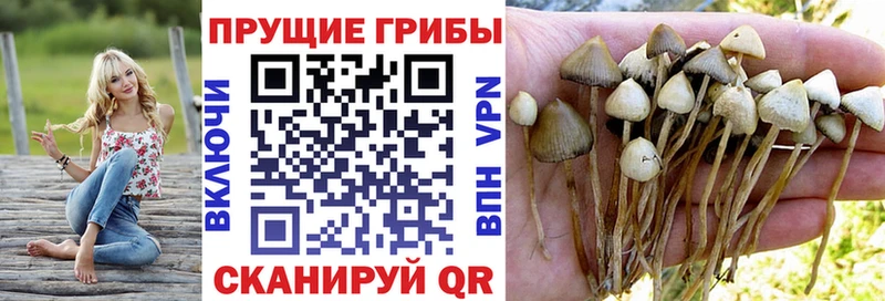 Псилоцибиновые грибы Magic Shrooms  как найти закладки  блэк спрут ONION  Мариинск 